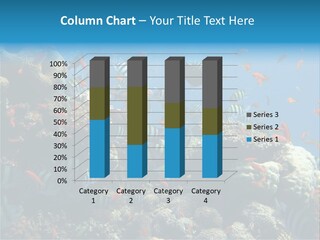 Photo Of A Coral Colony PowerPoint Template