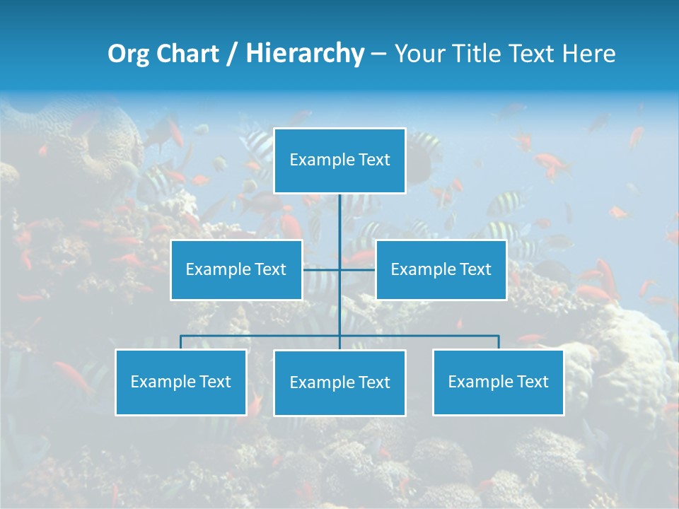 Photo Of A Coral Colony PowerPoint Template
