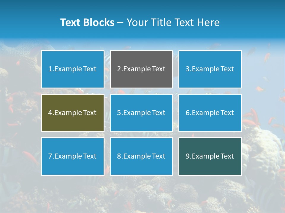 Photo Of A Coral Colony PowerPoint Template