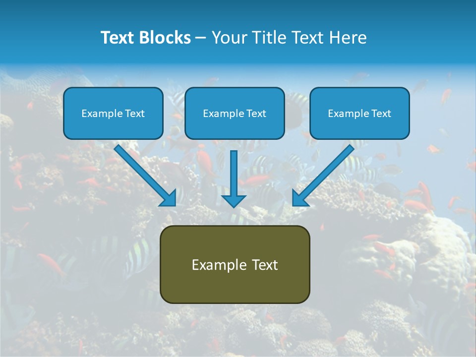 Photo Of A Coral Colony PowerPoint Template
