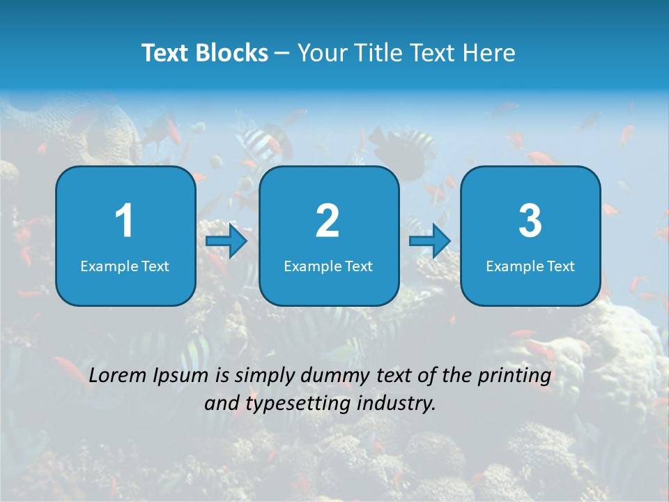 Photo Of A Coral Colony PowerPoint Template