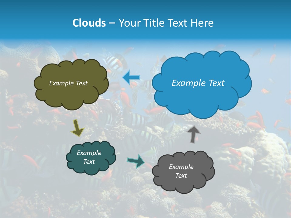 Photo Of A Coral Colony PowerPoint Template