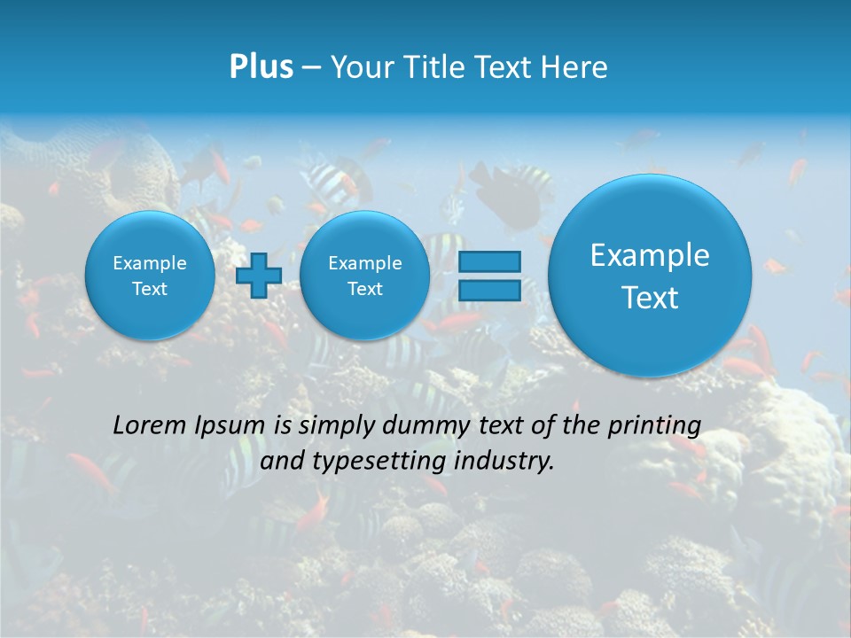 Photo Of A Coral Colony PowerPoint Template