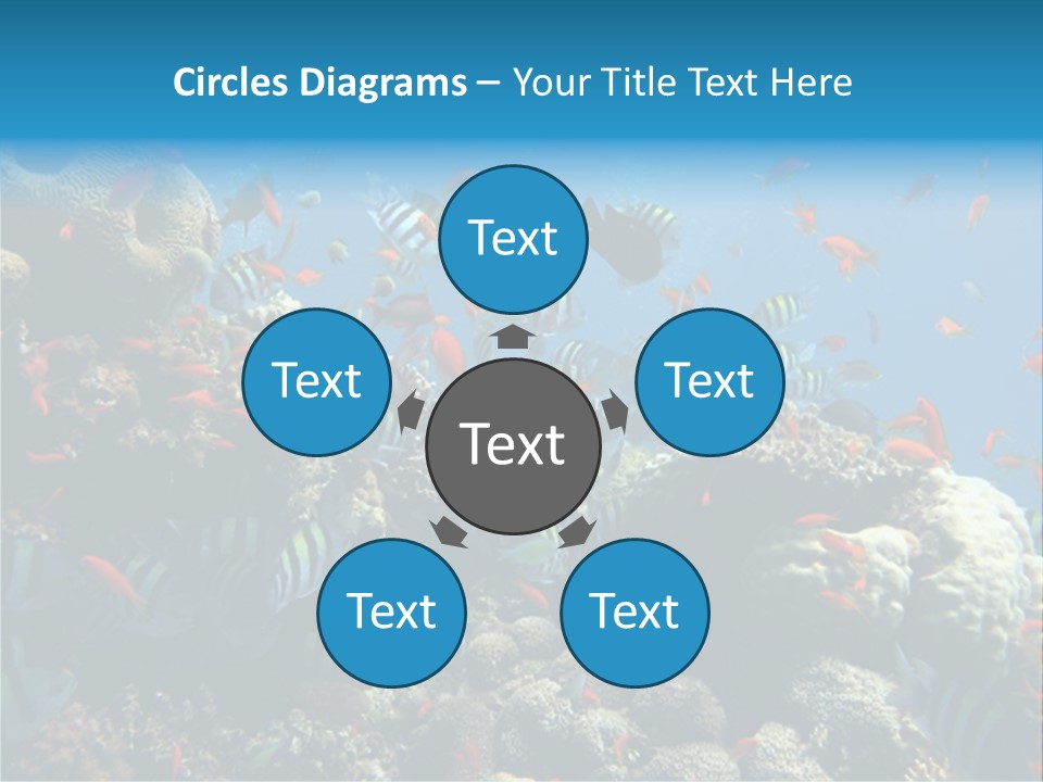 Photo Of A Coral Colony PowerPoint Template