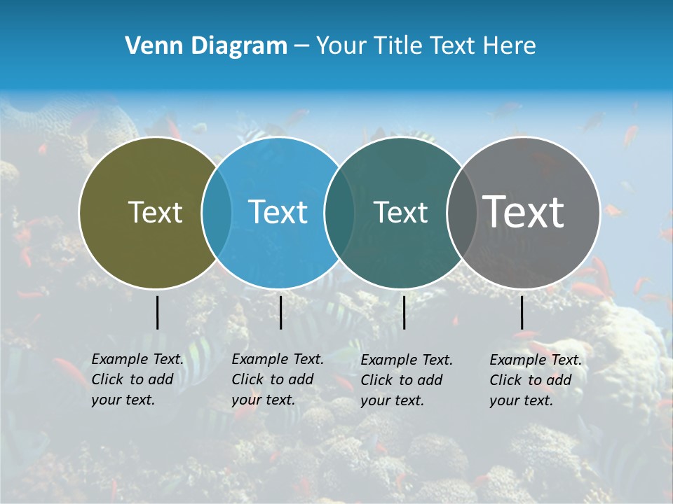 Photo Of A Coral Colony PowerPoint Template