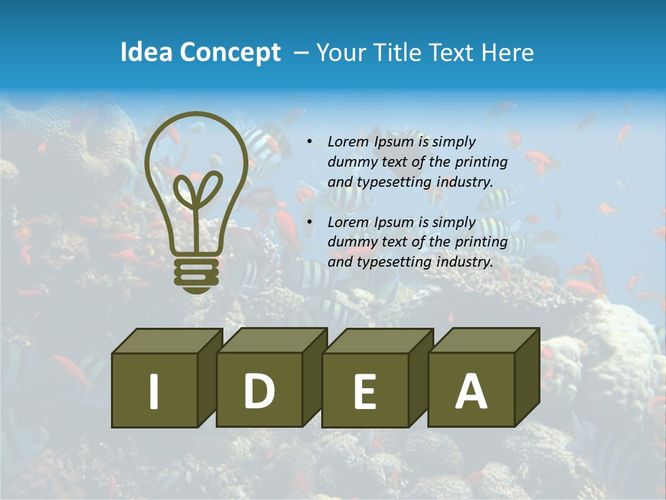 Photo Of A Coral Colony PowerPoint Template