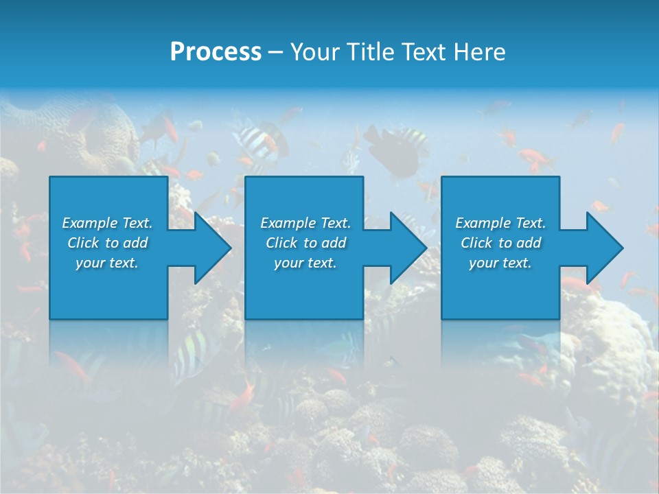Photo Of A Coral Colony PowerPoint Template