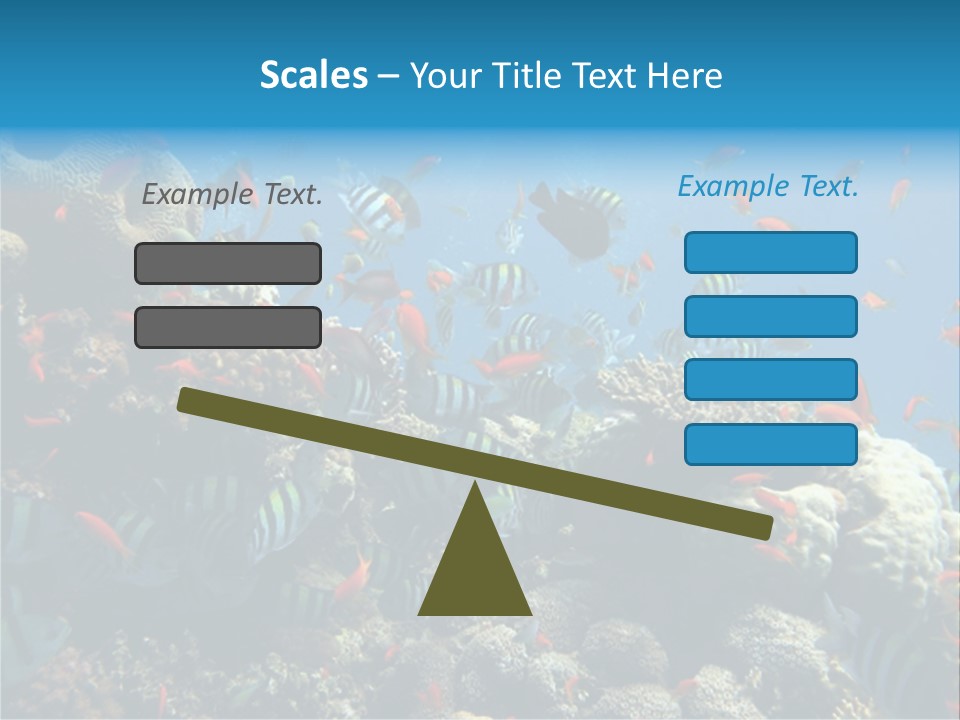 Photo Of A Coral Colony PowerPoint Template