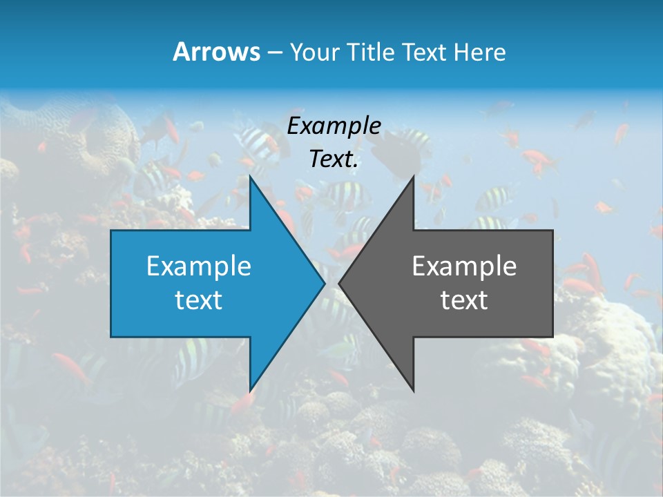 Photo Of A Coral Colony PowerPoint Template