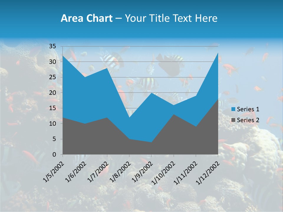 Photo Of A Coral Colony PowerPoint Template
