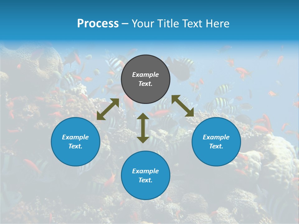 Photo Of A Coral Colony PowerPoint Template