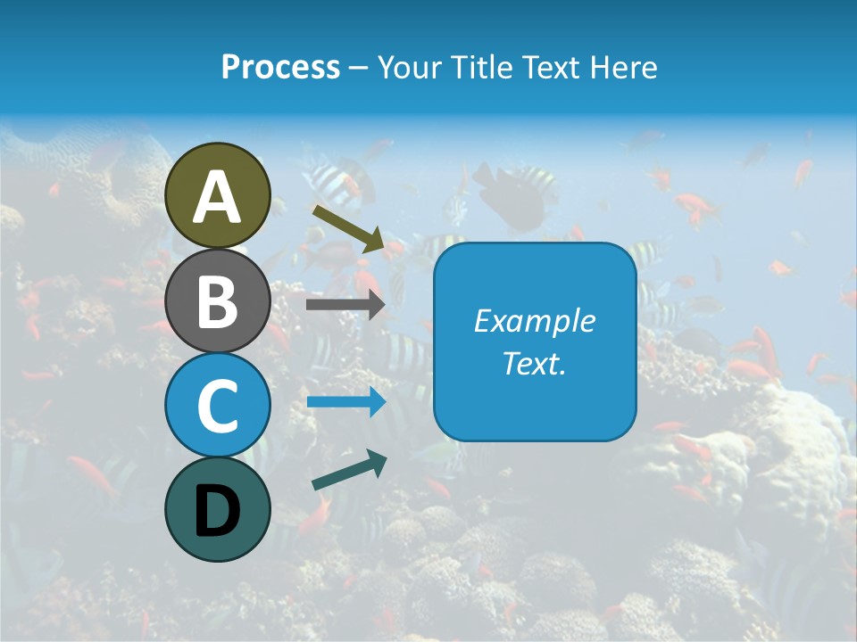 Photo Of A Coral Colony PowerPoint Template