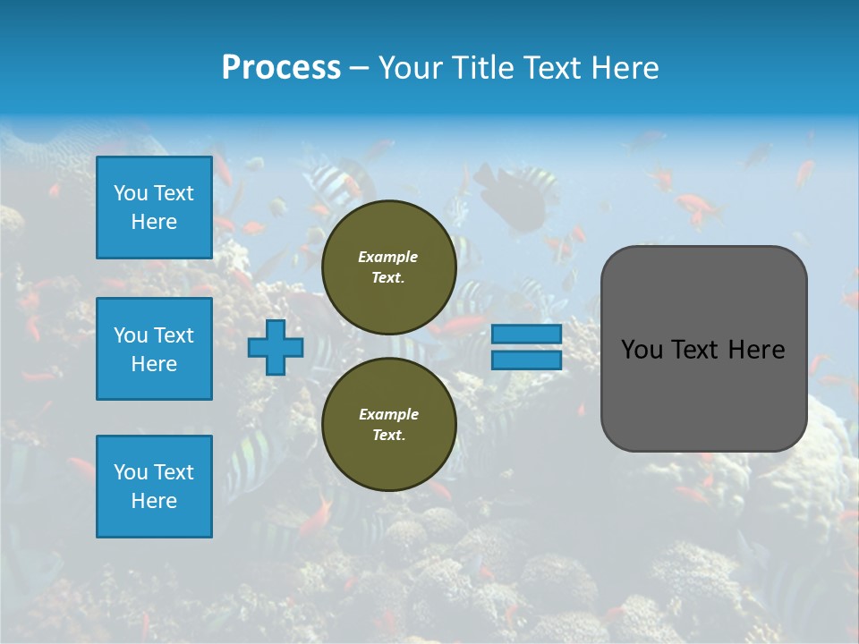 Photo Of A Coral Colony PowerPoint Template