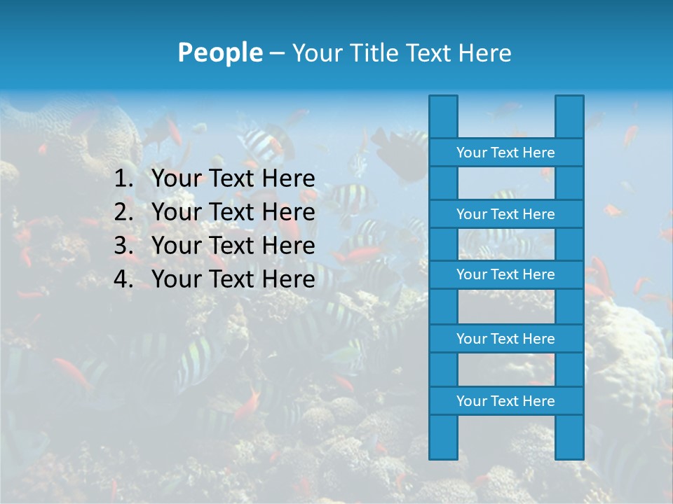Photo Of A Coral Colony PowerPoint Template