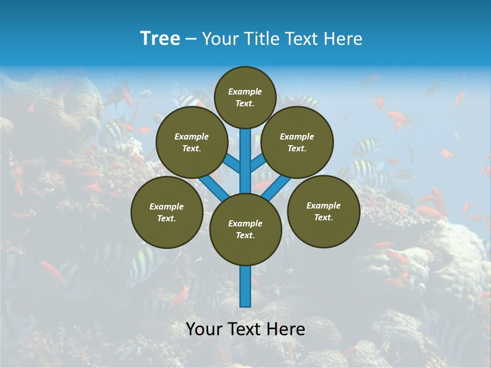 Photo Of A Coral Colony PowerPoint Template