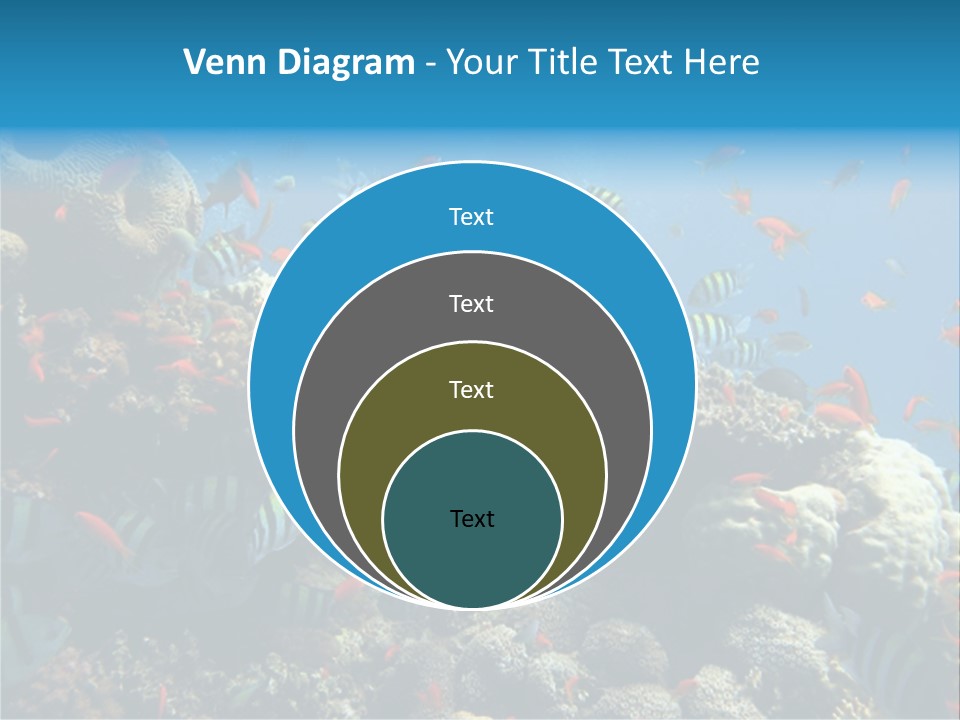 Photo Of A Coral Colony PowerPoint Template
