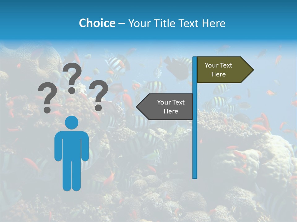Photo Of A Coral Colony PowerPoint Template