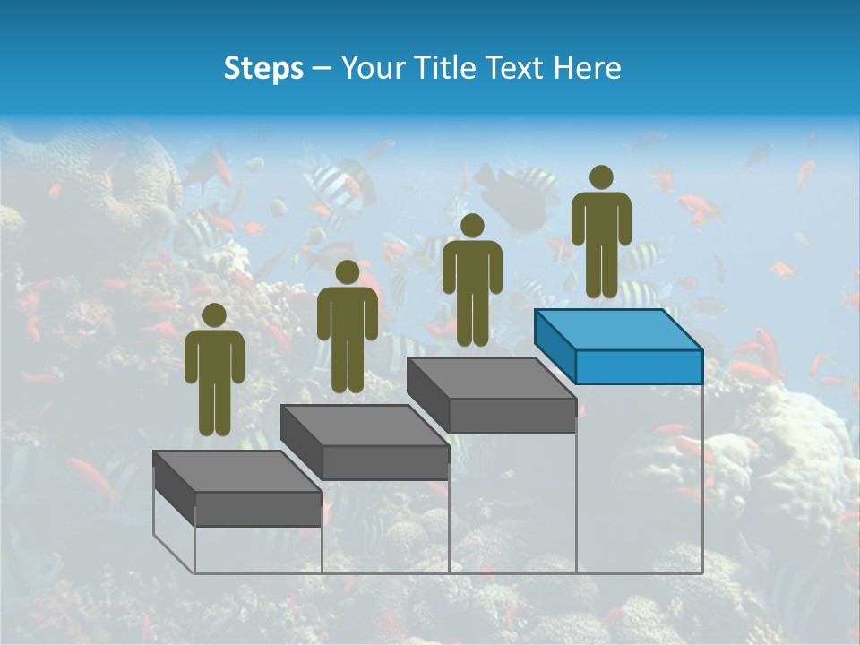 Photo Of A Coral Colony PowerPoint Template