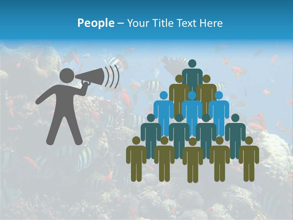 Photo Of A Coral Colony PowerPoint Template