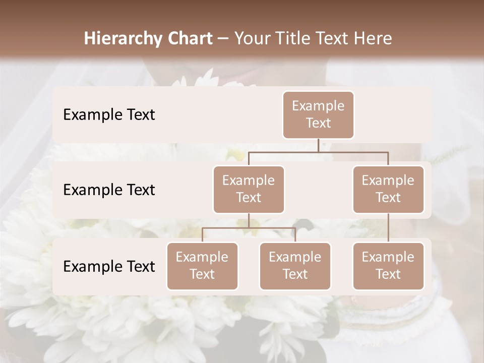 A Series Of Wedding Pictures. PowerPoint Template