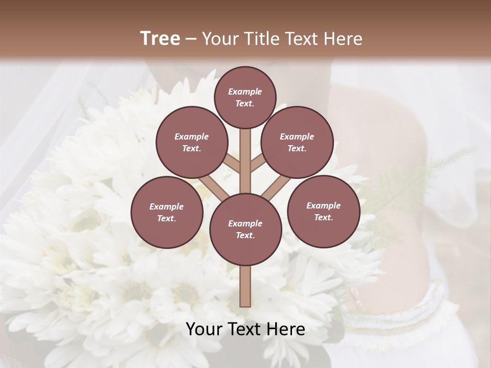 A Series Of Wedding Pictures. PowerPoint Template