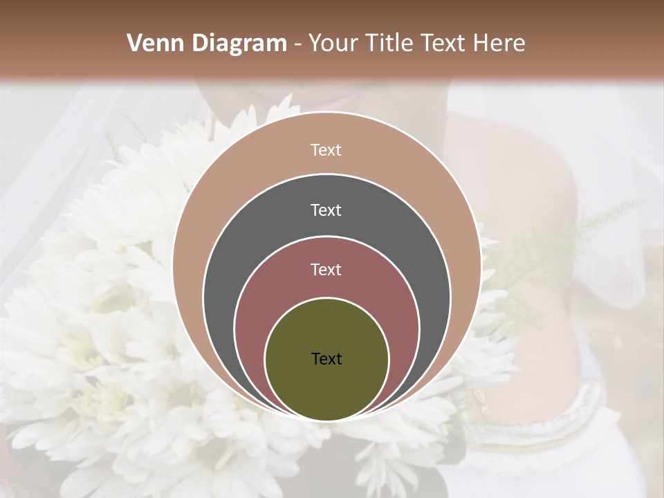 A Series Of Wedding Pictures. PowerPoint Template