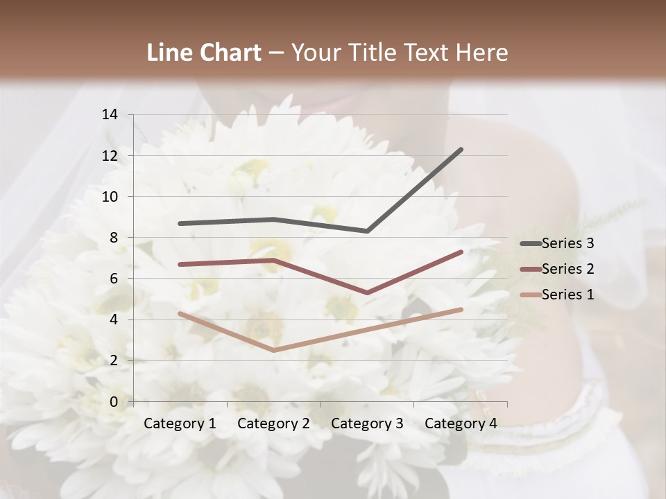 A Series Of Wedding Pictures. PowerPoint Template