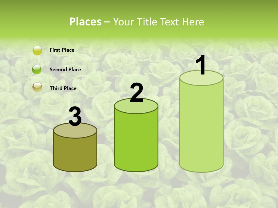 Rows Of Fresh Green Lettuce PowerPoint Template