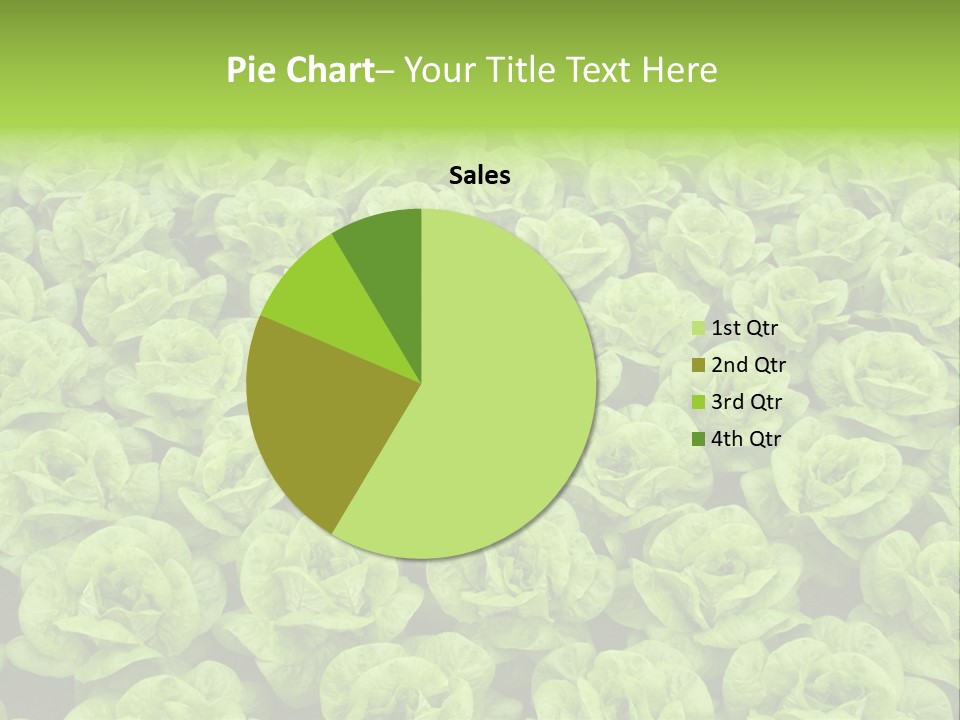 Rows Of Fresh Green Lettuce PowerPoint Template