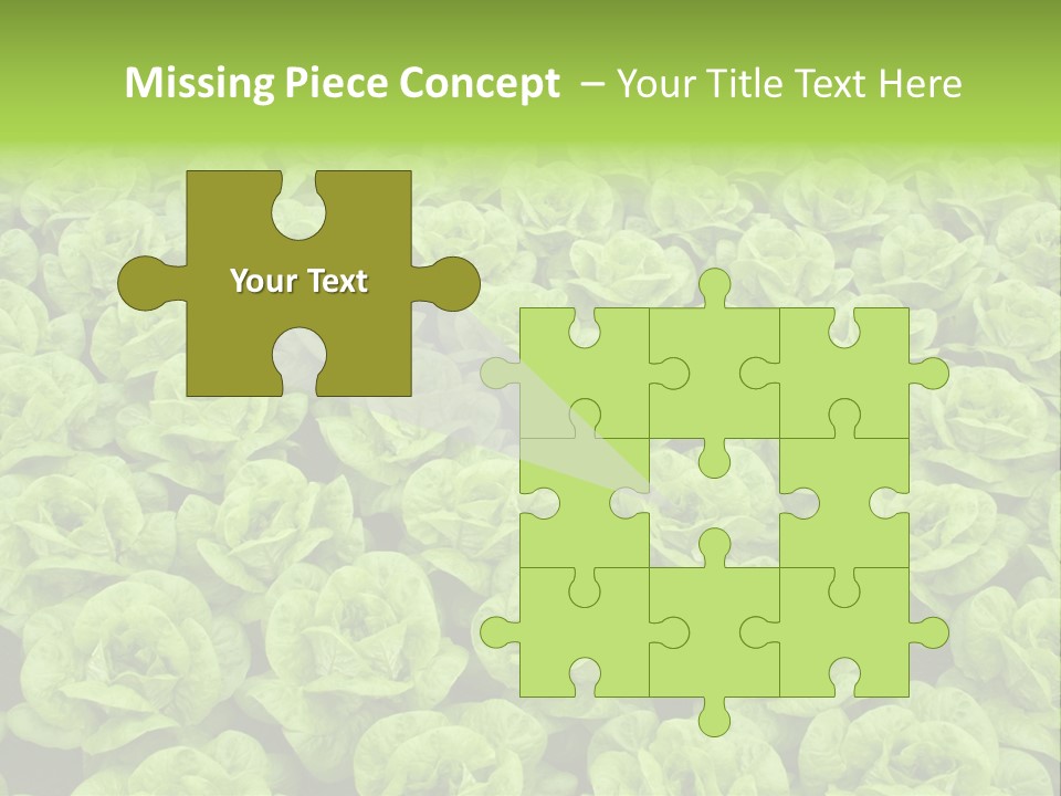 Rows Of Fresh Green Lettuce PowerPoint Template