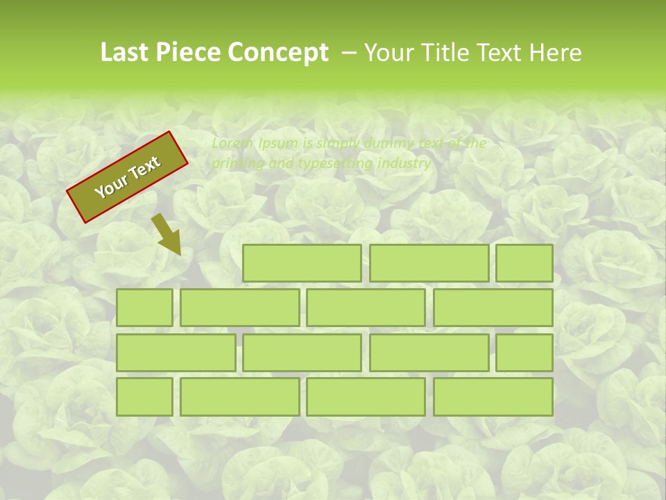Rows Of Fresh Green Lettuce PowerPoint Template