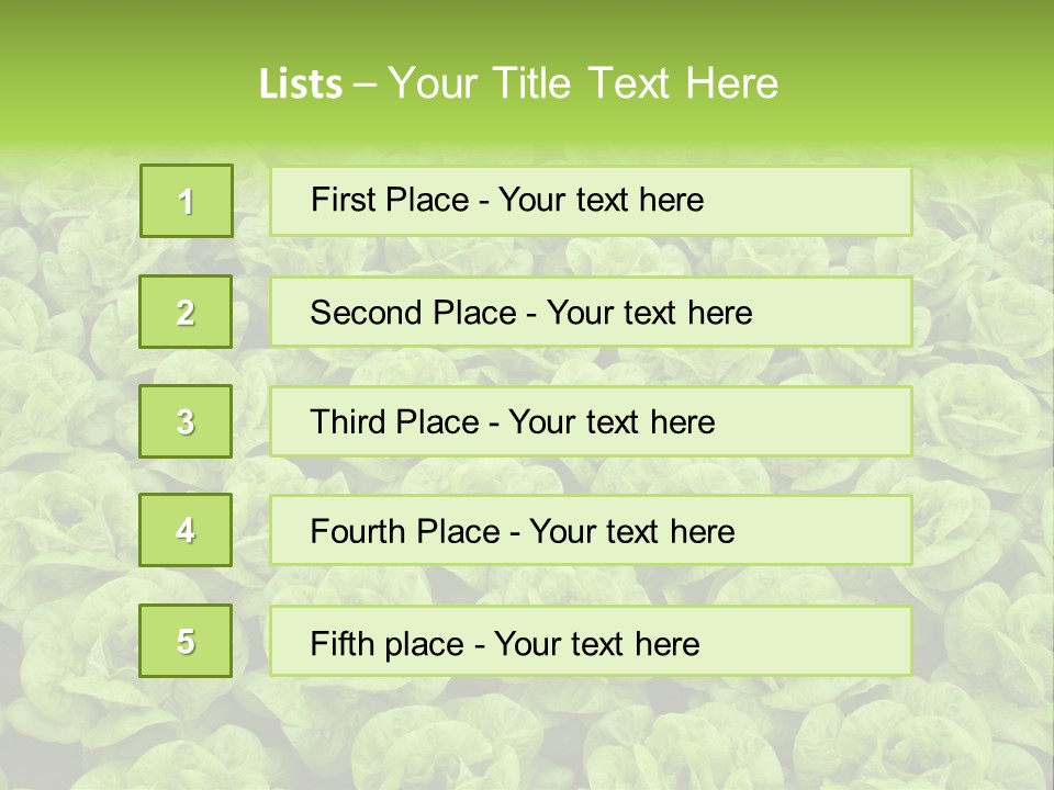 Rows Of Fresh Green Lettuce PowerPoint Template
