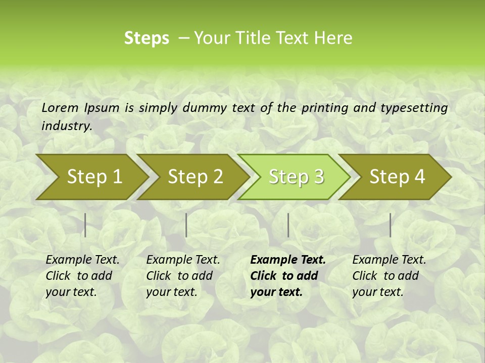 Rows Of Fresh Green Lettuce PowerPoint Template