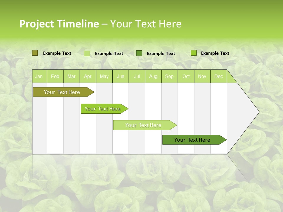 Rows Of Fresh Green Lettuce PowerPoint Template