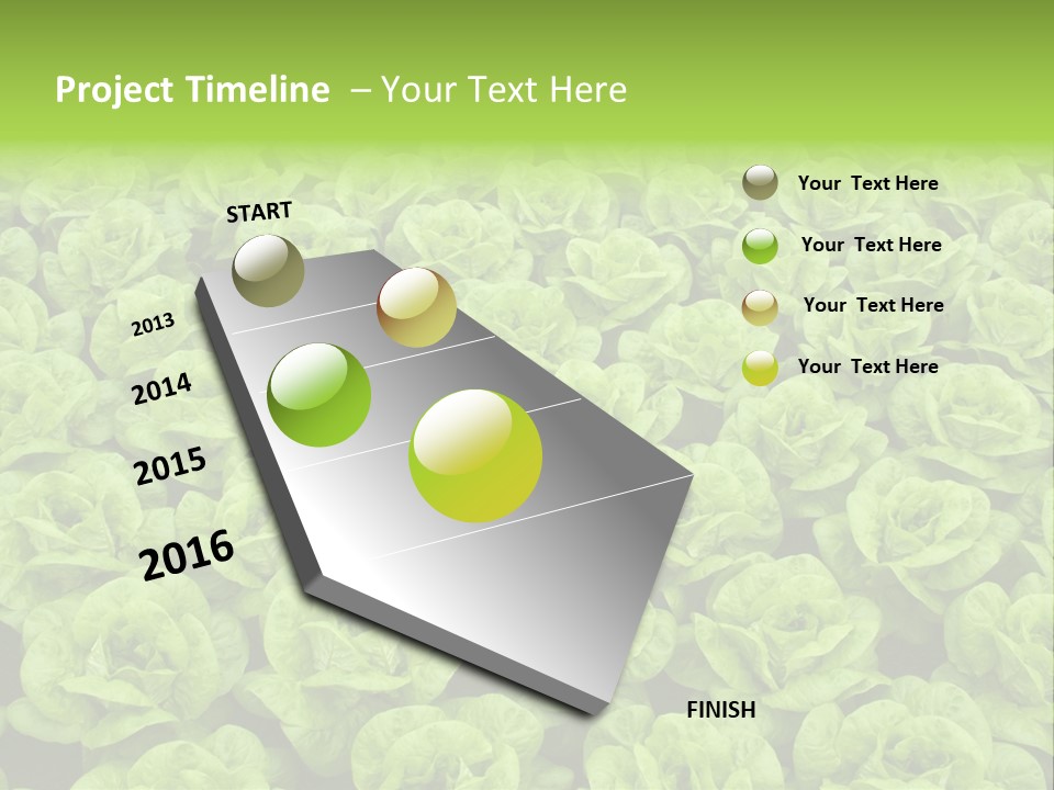 Rows Of Fresh Green Lettuce PowerPoint Template