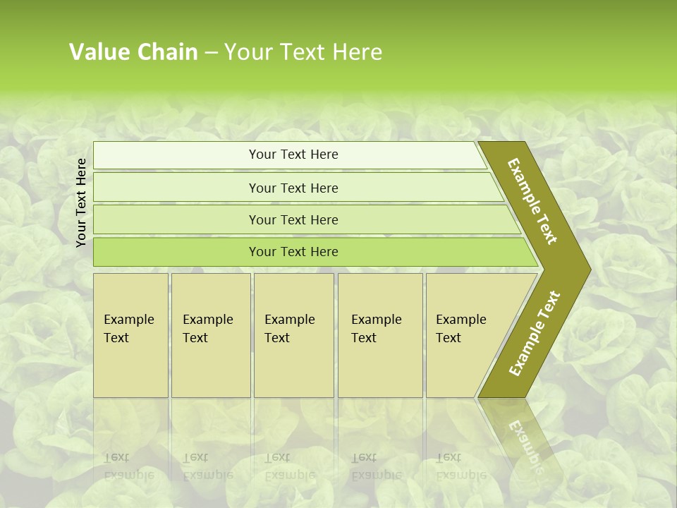 Rows Of Fresh Green Lettuce PowerPoint Template