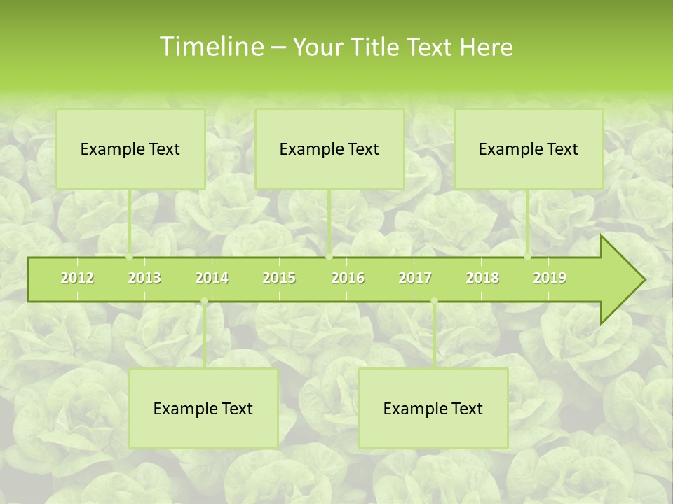 Rows Of Fresh Green Lettuce PowerPoint Template