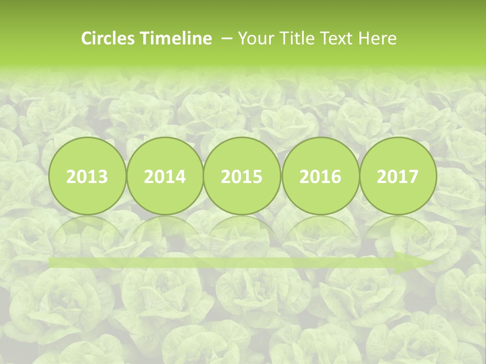 Rows Of Fresh Green Lettuce PowerPoint Template