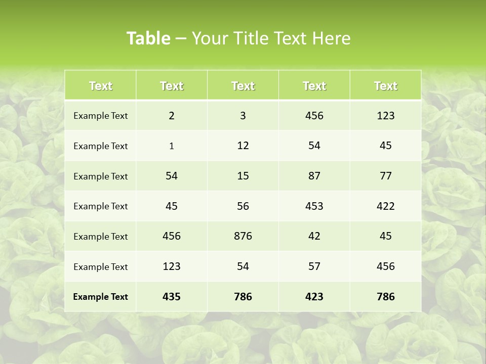 Rows Of Fresh Green Lettuce PowerPoint Template