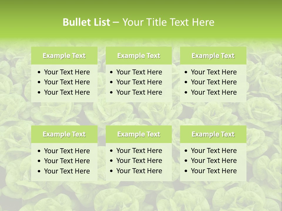 Rows Of Fresh Green Lettuce PowerPoint Template