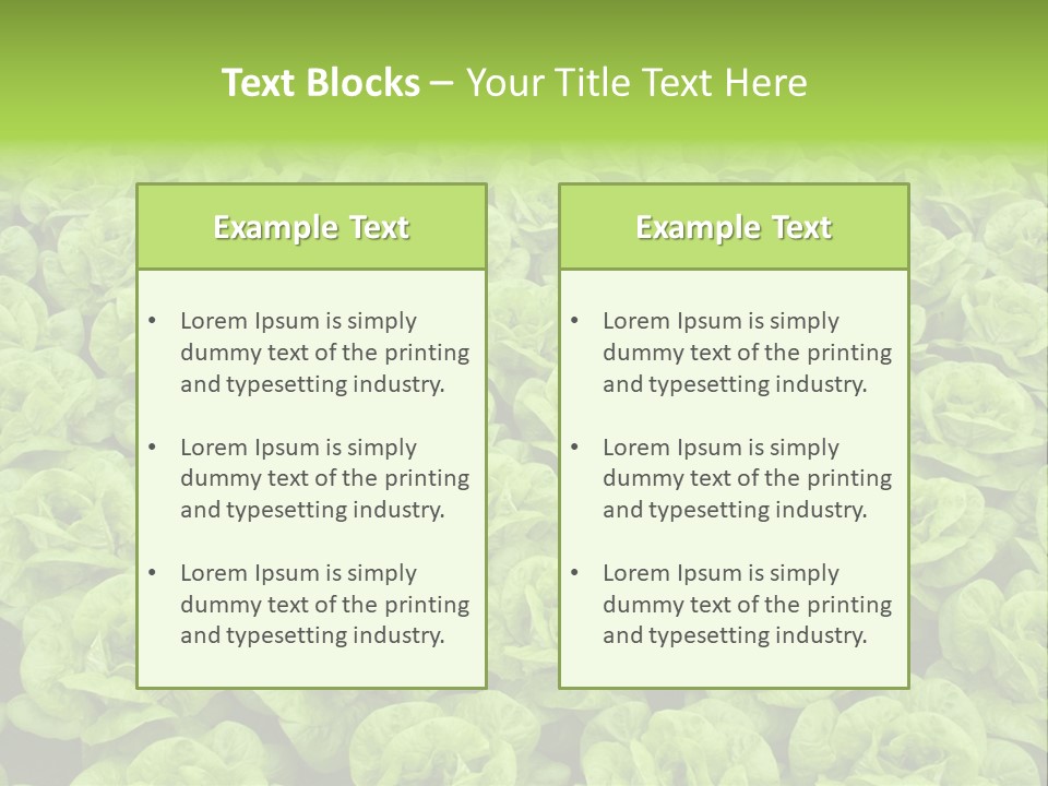 Rows Of Fresh Green Lettuce PowerPoint Template