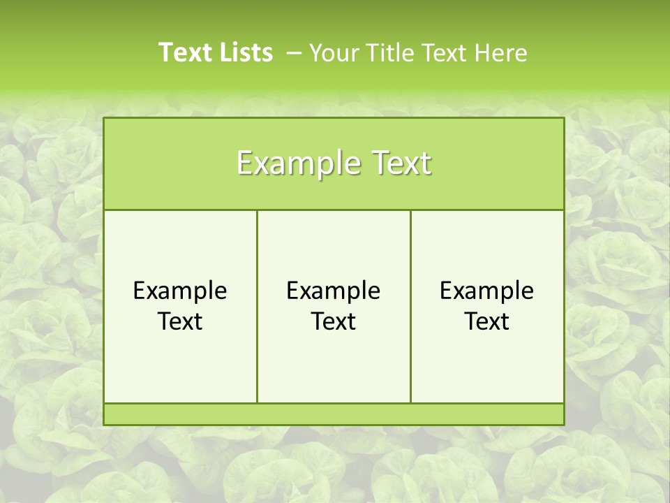 Rows Of Fresh Green Lettuce PowerPoint Template