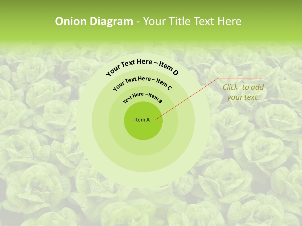 Rows Of Fresh Green Lettuce PowerPoint Template