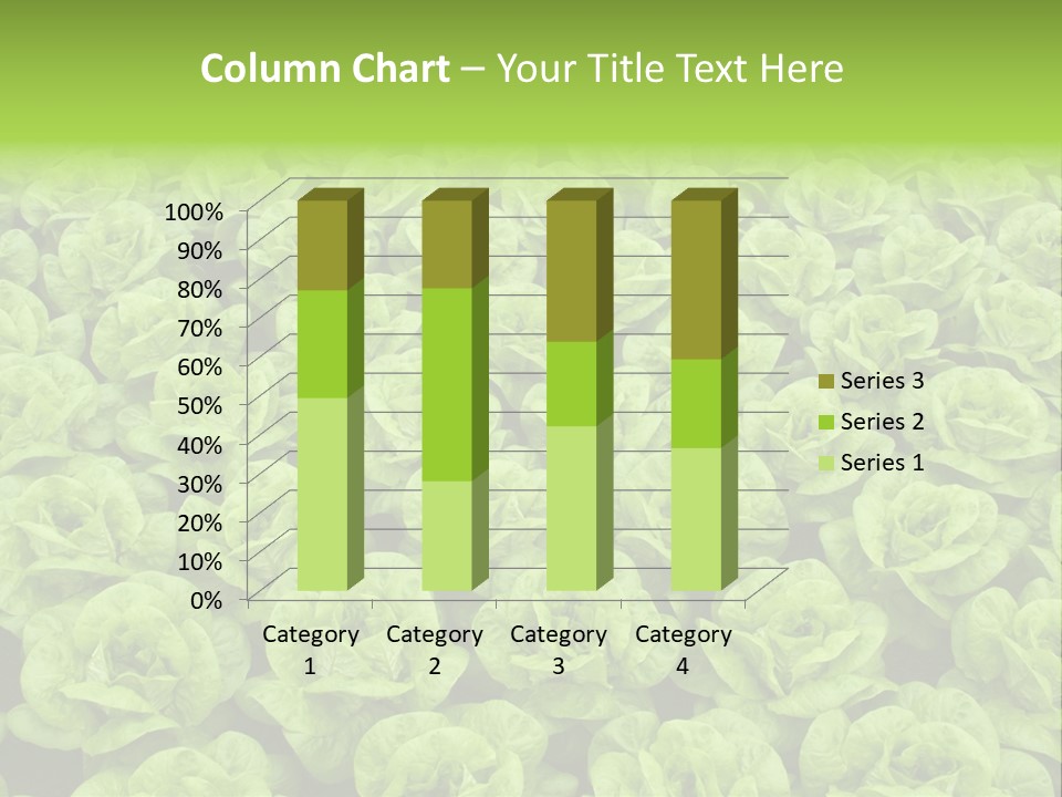 Rows Of Fresh Green Lettuce PowerPoint Template
