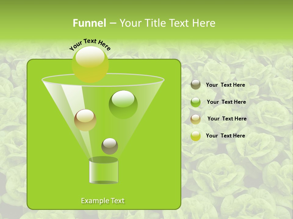 Rows Of Fresh Green Lettuce PowerPoint Template