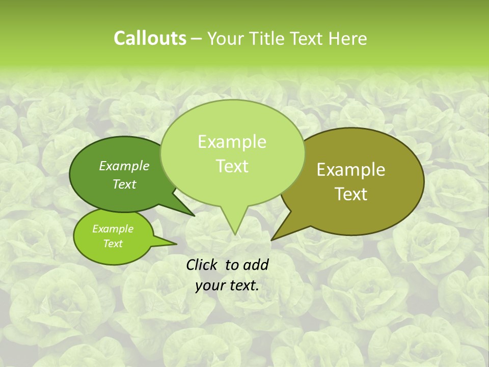 Rows Of Fresh Green Lettuce PowerPoint Template