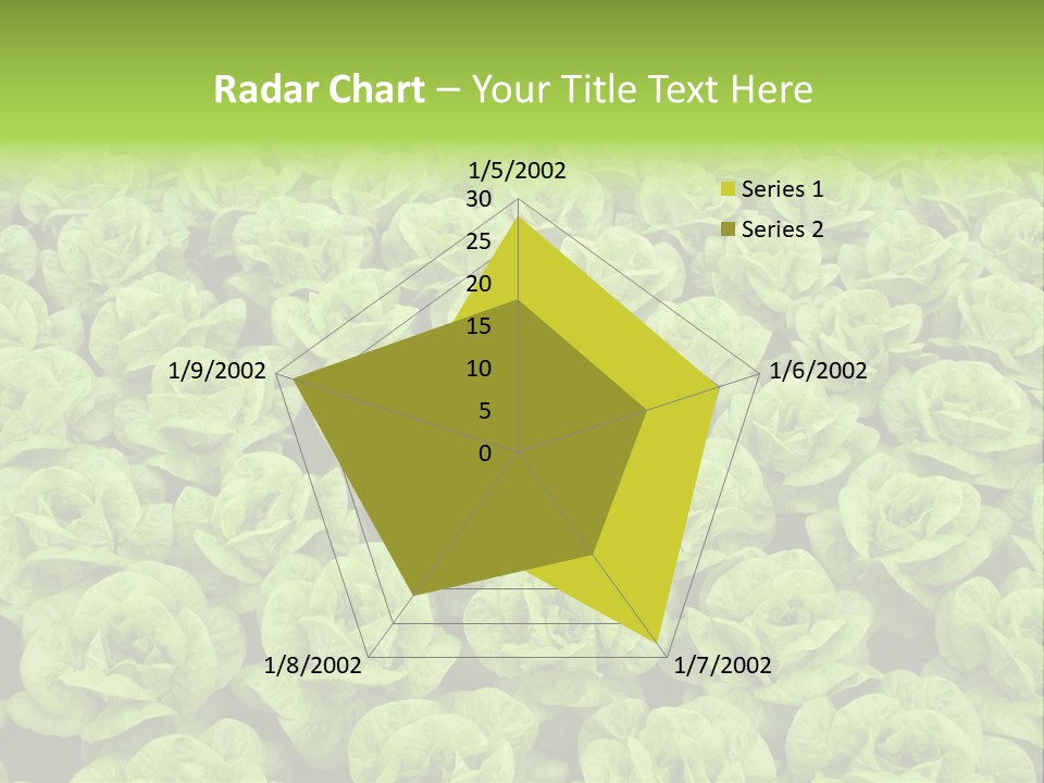 Rows Of Fresh Green Lettuce PowerPoint Template