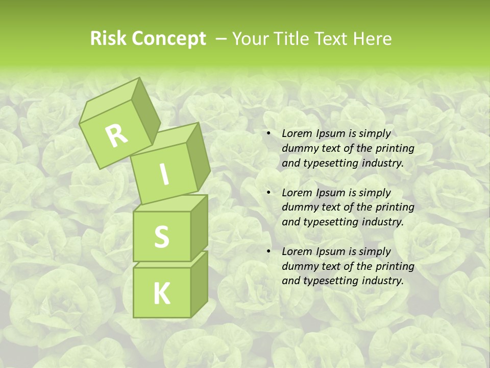 Rows Of Fresh Green Lettuce PowerPoint Template