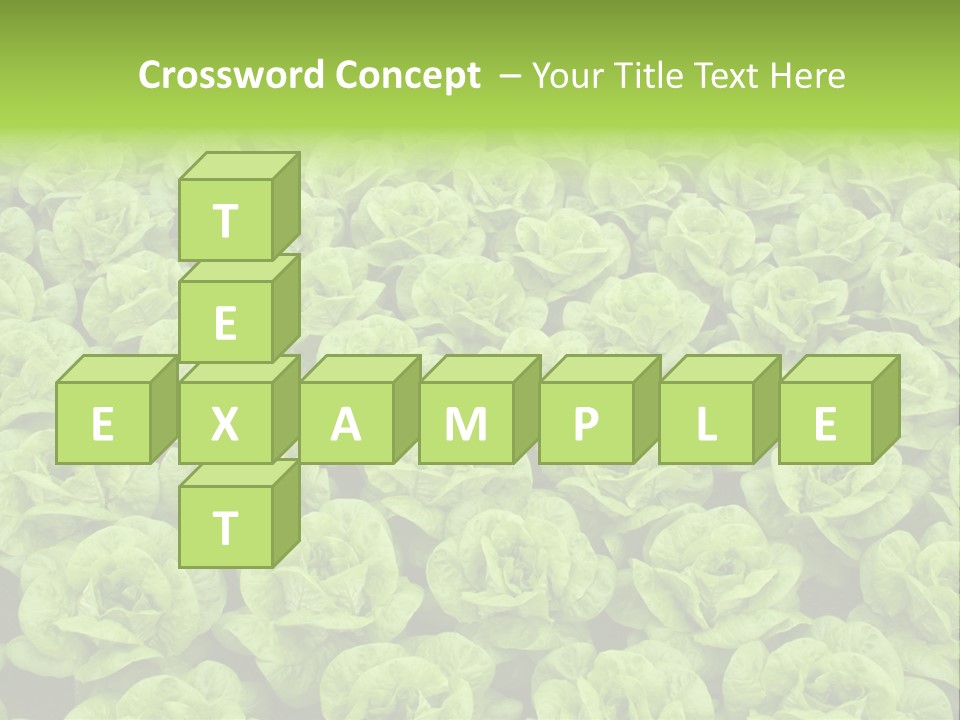 Rows Of Fresh Green Lettuce PowerPoint Template