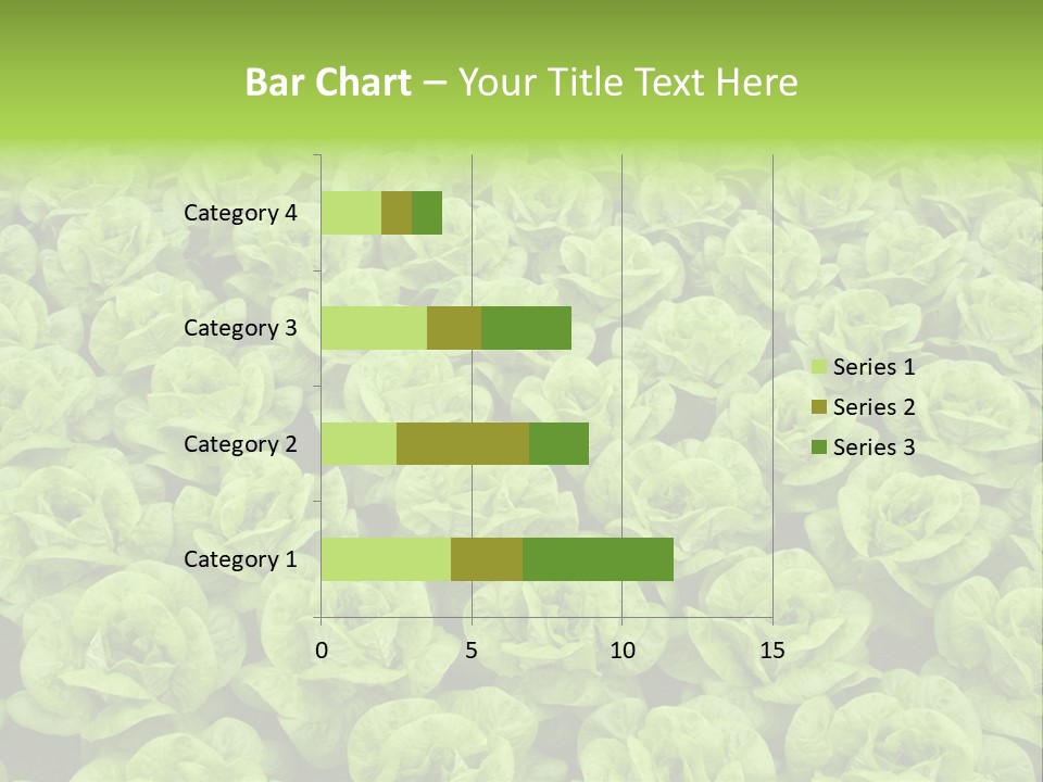 Rows Of Fresh Green Lettuce PowerPoint Template